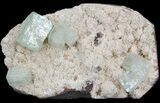 Apophyllite Crystals on Heulandite - India #44050-1